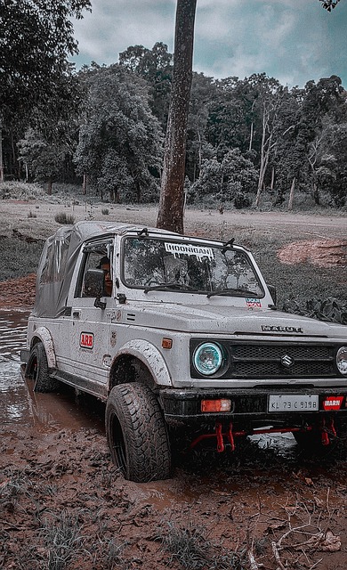 力和传球精 力和传球精