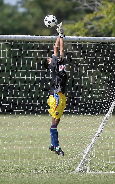 我们不仅能 我们不仅能