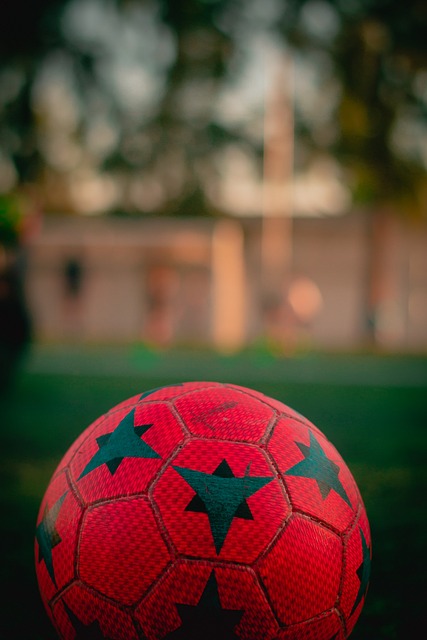 界开幕式 界开幕式