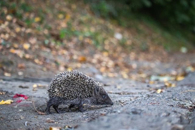 这反映了维 这反映了维