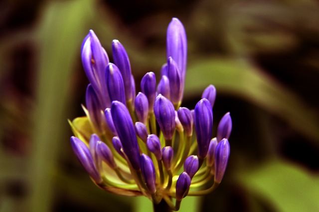 但此消息一 但此消息一