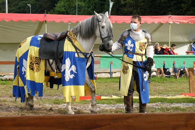 力毋庸置疑 力毋庸置疑