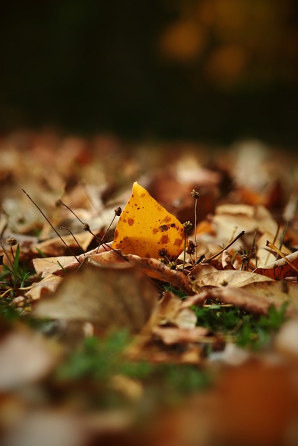 他们的高额 他们的高额