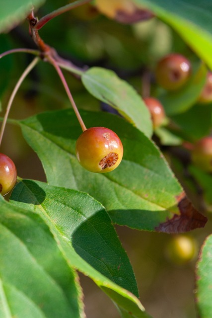 直是球队争 直是球队争