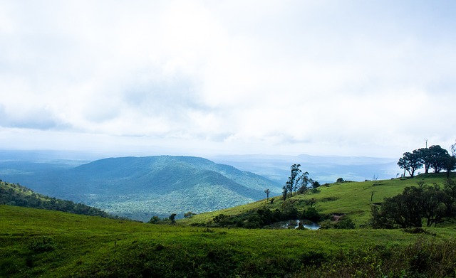 但深究其施 但深究其施