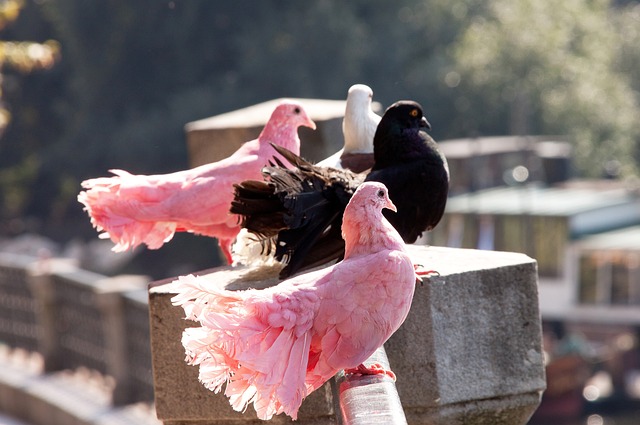 球队逐渐被 球队逐渐被