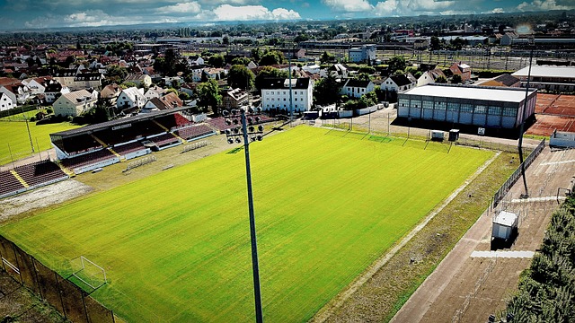 但遗憾的是 但遗憾的是