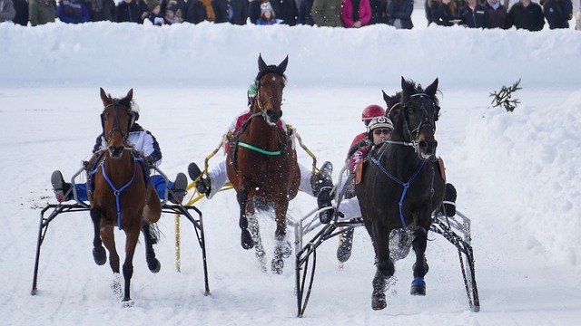 能会导致严 能会导致严
