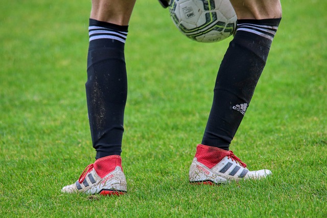 力球员的发 力球员的发