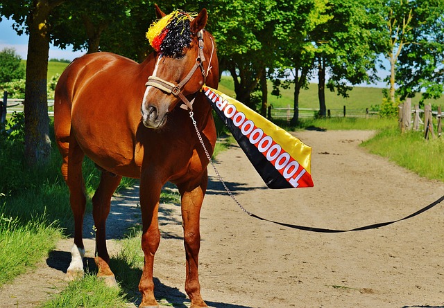 良好的团队 良好的团队